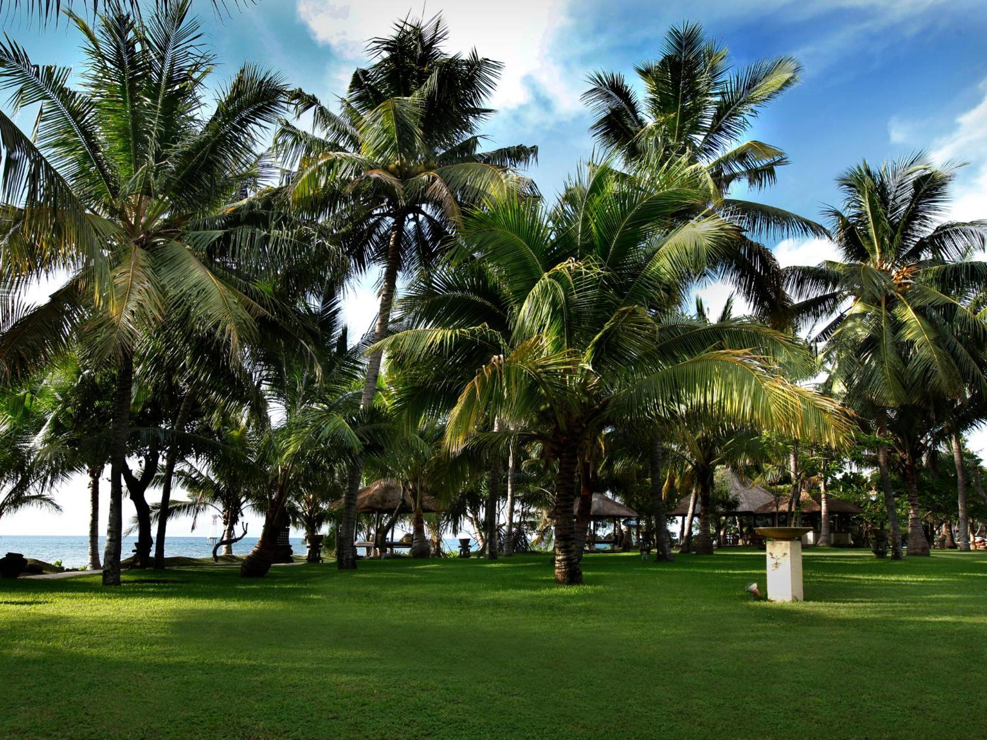 Puri Bagus Lovina Hotel Exterior photo